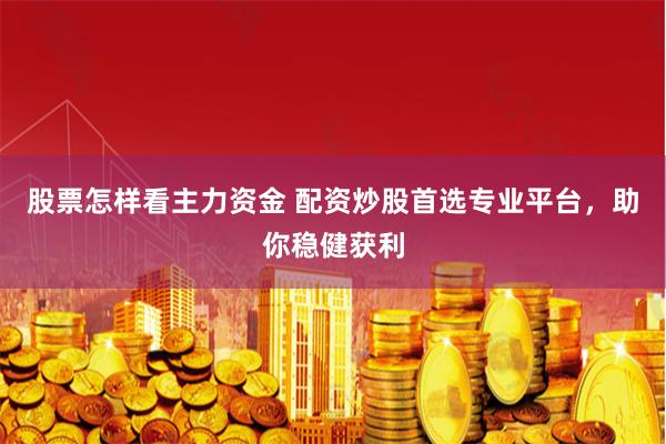 股票怎样看主力资金 配资炒股首选专业平台，助你稳健获利