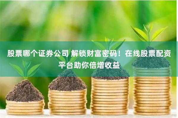 股票哪个证券公司 解锁财富密码！在线股票配资平台助你倍增收益
