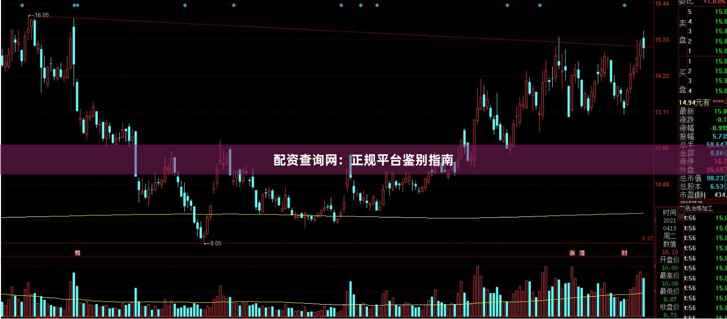 配资查询网:正规平台鉴别指南