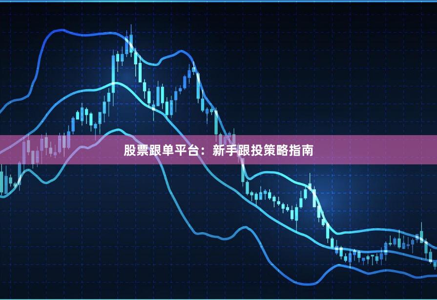 股票跟单平台:新手跟投策略指南