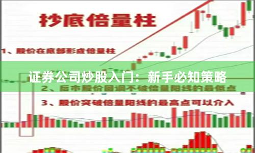 证券公司炒股入门：新手必知策略